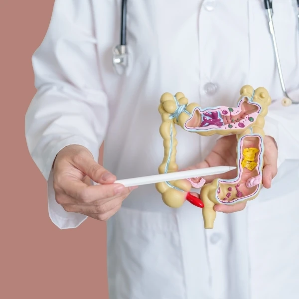 نظام غذائي للقولون العصبي - يحميك من الانتفاخ وأعراض المتلازمة